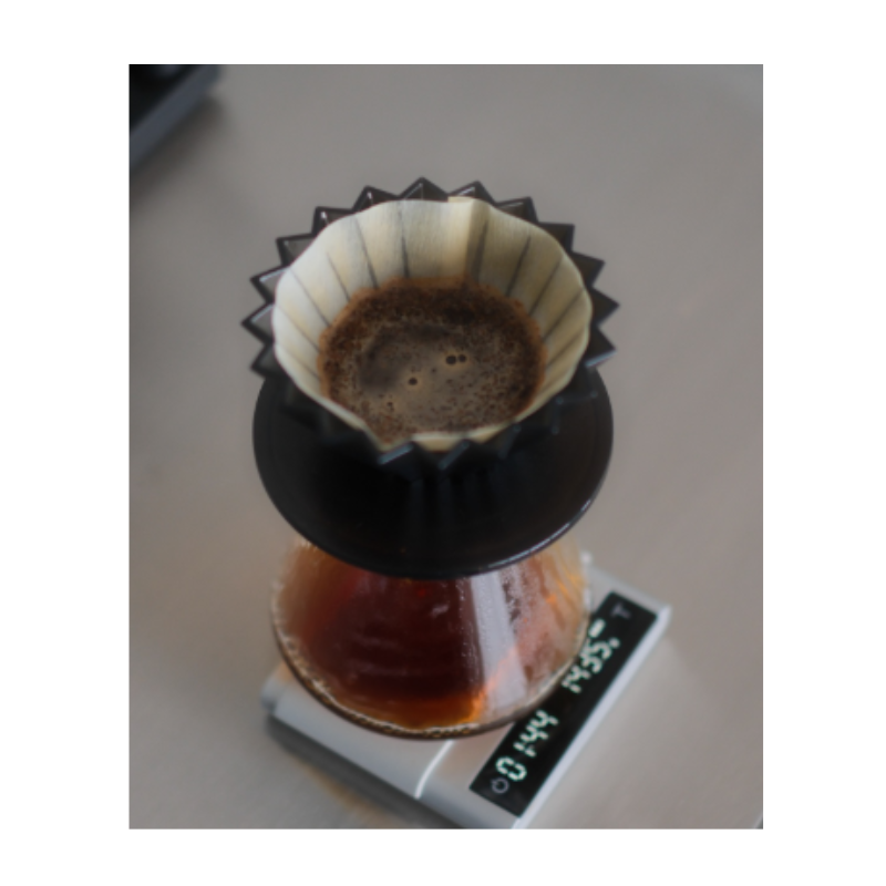 Dripper Origami Cafe Con Base Acrílico